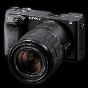 Sony Alpha ILCE-6400M 24.2MP Mirrorless Digital SLR Camera (Black) with 18-135mm Lens